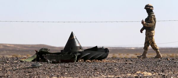 Soldado de Ejército egipcio vigila el lugar de siniestro de avión ruso A321 Soldado de Ejército egipcio vigila el lugar de siniestro de avión ruso A321 - Sputnik Mundo