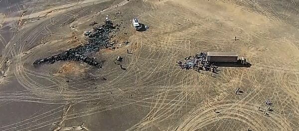 Operación de rescate en el lugar del siniestro del avión ruso A321 - Sputnik Mundo