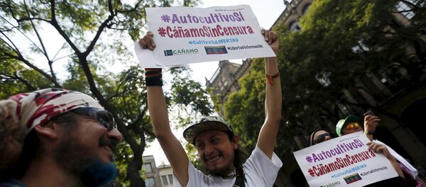 Manifestación en apoyo a la legalización de la marihuana, México Manifestación en apoyo a la legalización de la marihuana, México - Sputnik Mundo