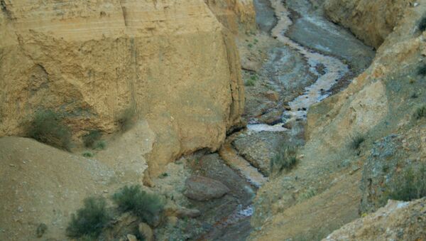 Famatina y Cañon del Ocre en La Rioja Argentina - Sputnik Mundo