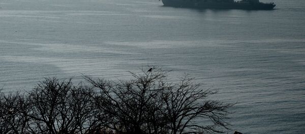 Корабли Тихоокеанского флота отправились на учения в Индийский океан Корабли Тихоокеанского флота отправились на учения в Индийский океан - Sputnik Mundo