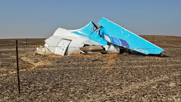 Restos del avión ruso Airbus-321 siniestrado en Egipto - Sputnik Mundo