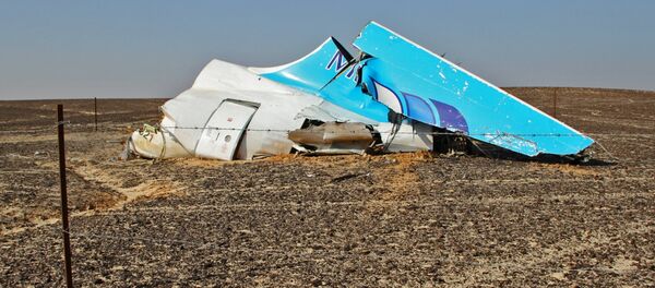 Restos del avión ruso Airbus-321 siniestrado en Egipto - Sputnik Mundo