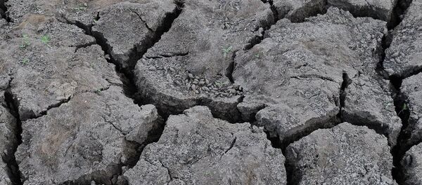 Leve alza del costo de vida en Colombia en octubre a causa de 'El Niño' y la devaluación Leve alza del costo de vida en Colombia en octubre a causa de 'El Niño' y la devaluación - Sputnik Mundo
