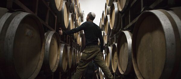 Barriles de vino en una bodega en Palestina - Sputnik Mundo