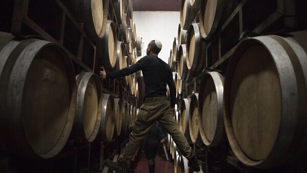 Barriles de vino en una bodega en Palestina - Sputnik Mundo