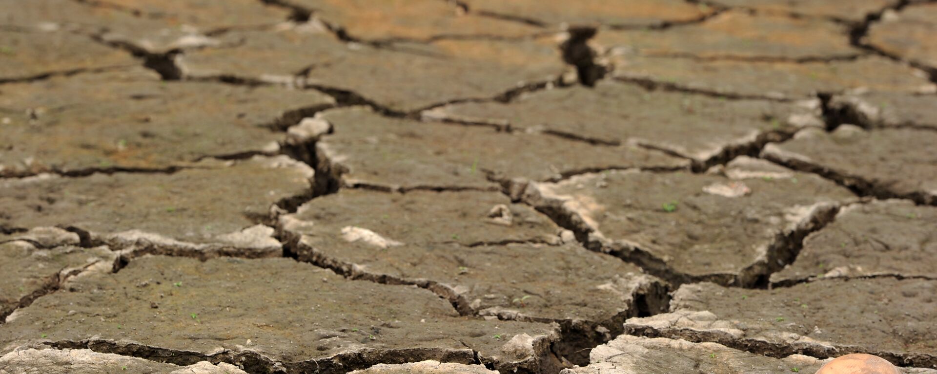 Sequía en Honduras como consecuencia de El Niño - Sputnik Mundo, 1920, 03.08.2021