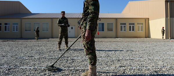 Desminado - Sputnik Mundo