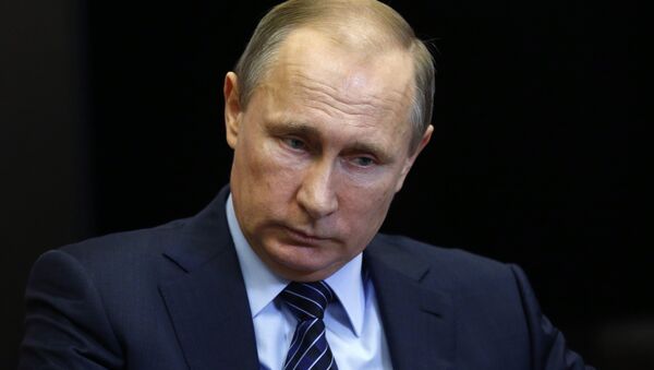 Vladímir Putin, presidente de Rusia Vladímir Putin, presidente de Rusia - Sputnik Mundo