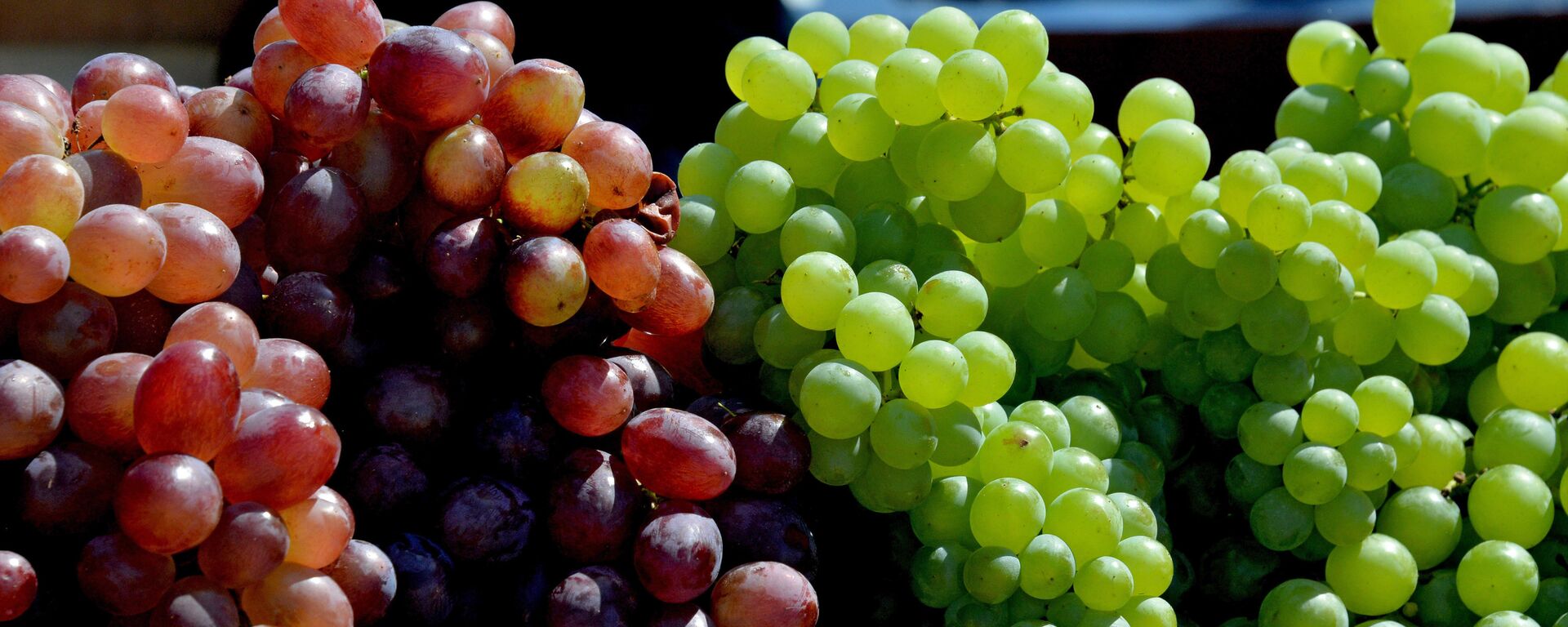 Uvas (imagen referencial) - Sputnik Mundo, 1920, 27.12.2021