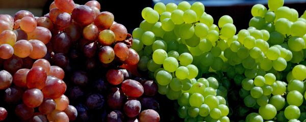 Uvas (imagen referencial) - Sputnik Mundo