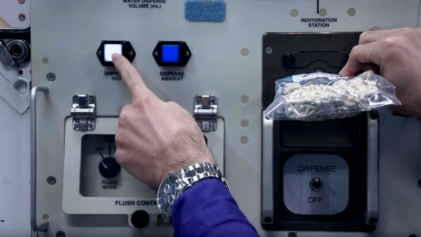 Día de Acción de Gracias en el espacio - Sputnik Mundo