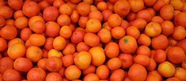 Cítricos - Sputnik Mundo