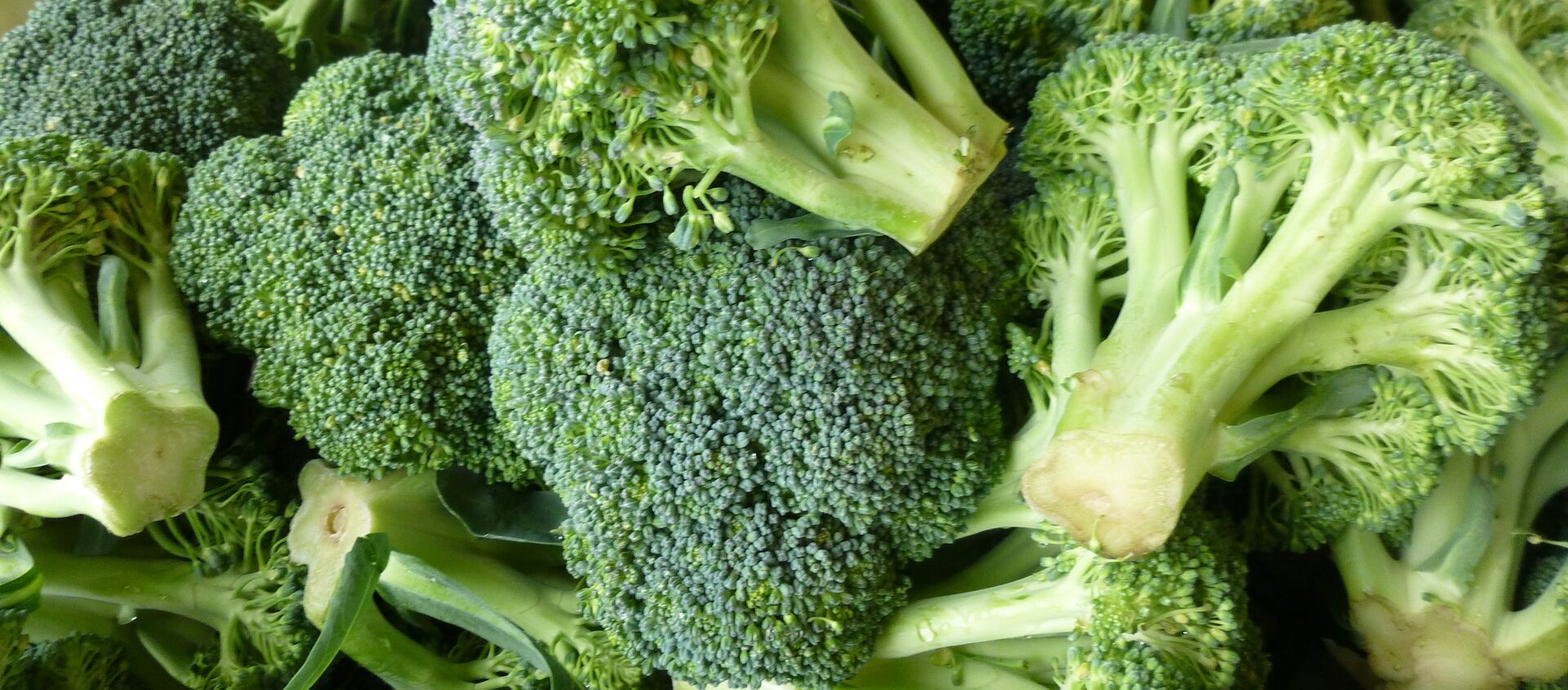 Brócoli - Sputnik Mundo, 1920, 05.01.2021