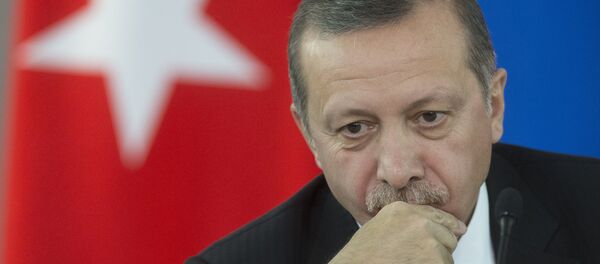 Recep Tayyip Erdogan, presidente de Turquía - Sputnik Mundo