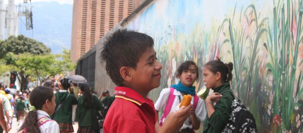 CIDH observa poca articulación de estados de América Latina para proteger a la infancia CIDH observa poca articulación de estados de América Latina para proteger a la infancia - Sputnik Mundo