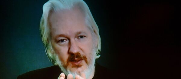 Julian Assange, fundador de WikiLeaks - Sputnik Mundo