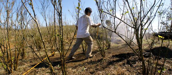 Colombia, el país con más conflictos ambientales - Sputnik Mundo