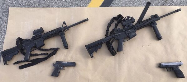 Armas confiscadas después el tiroteo masivo en San Bernardino - Sputnik Mundo