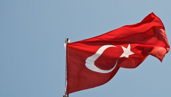 La bandera de Turquía - Sputnik Mundo