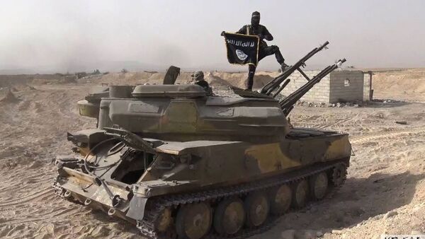 El integrante de Daesh en Siria - Sputnik Mundo