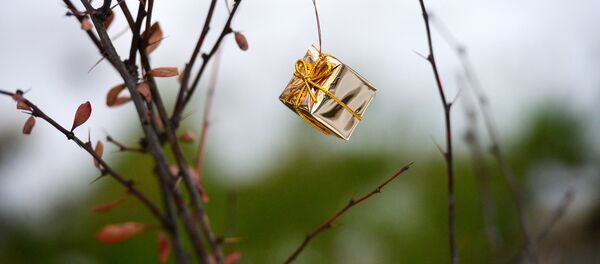 Diciembre cálido en Moscú - Sputnik Mundo