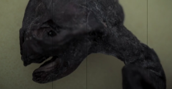 ¿Hay alguien ahí? Top 5 pruebas de la vida extraterrestre - Sputnik Mundo