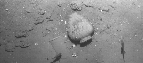 Los artefactos encontrados entre los restos del galeón español San José - Sputnik Mundo