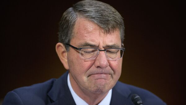 Ashton Carter, secretario de Defensa de EEUU - Sputnik Mundo