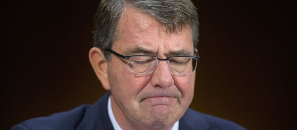 Ashton Carter, secretario de Defensa de EEUU - Sputnik Mundo