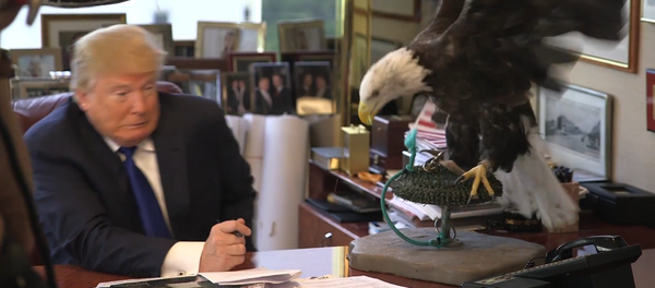 El 'Tío Sam' ataca a Trump - Sputnik Mundo