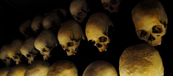 Cráneos (archivo) - Sputnik Mundo