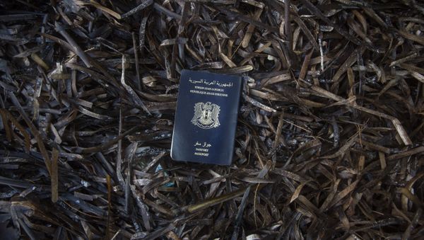 Un pasaporte sirio Un pasaporte sirio - Sputnik Mundo