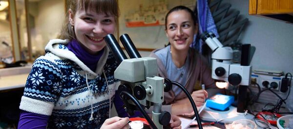 Científicas de la DVFU estudian nuevos organismos encontrados en el Mar de Ojotsk Científicas de la DVFU estudian nuevos organismos encontrados en el Mar de Ojotsk - Sputnik Mundo