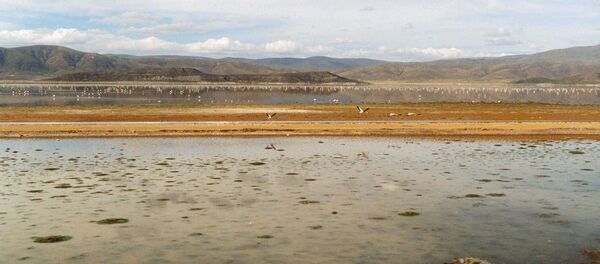 Lago Poopó (Archivo) - Sputnik Mundo