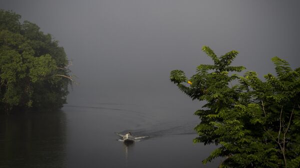 El río Amazonas (archivo) - Sputnik Mundo