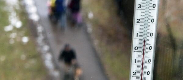 Un termómetro - Sputnik Mundo