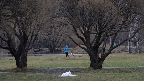 Tiempo en Moscú - Sputnik Mundo