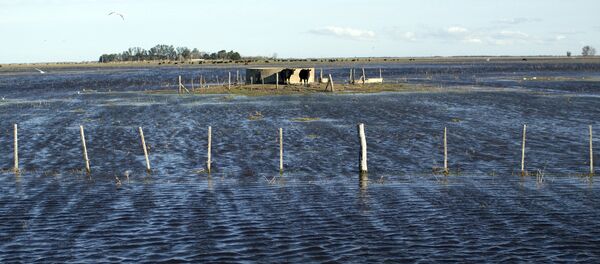 Inundaciones en Argentina (archivo) Inundaciones en Argentina (archivo) - Sputnik Mundo