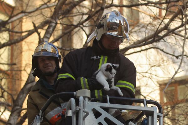 Hombres y mujeres socorristas rusos - Sputnik Mundo