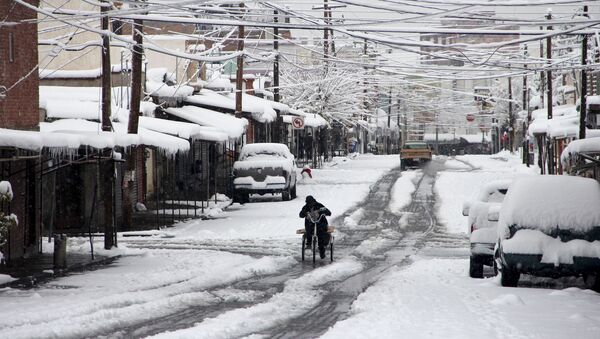 Nevada en México - Sputnik Mundo