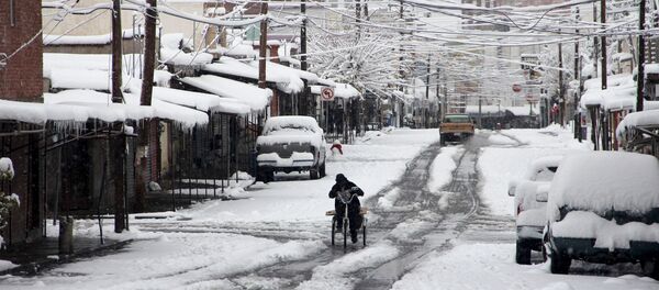Nevada en México - Sputnik Mundo