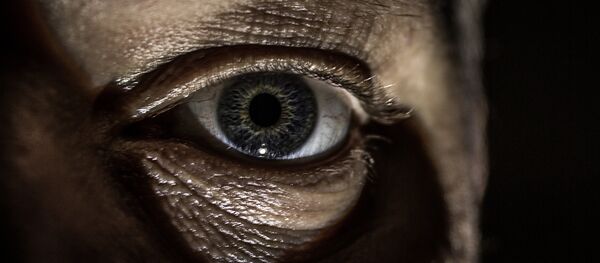 Espionaje - Sputnik Mundo