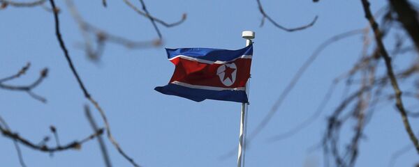 Bandera de Corea del Norte Bandera de Corea del Norte - Sputnik Mundo