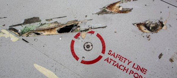 Parte del avión que realizaba el vuelo MH17 de Malaysia Airlines - Sputnik Mundo