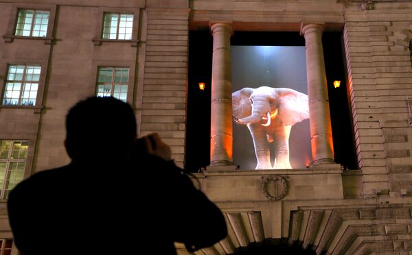 Festival de luces “Lumiere” en Londres - Sputnik Mundo