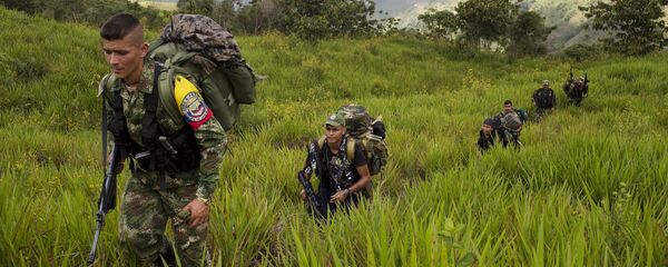Combatientes de las FARC (Archivo) - Sputnik Mundo