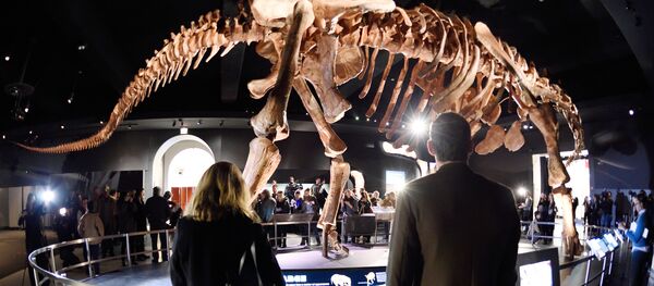 El titanosaurio argentino que revoluciona Nueva York - Sputnik Mundo