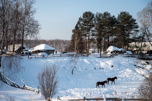El invierno siberiano El invierno siberiano - Sputnik Mundo