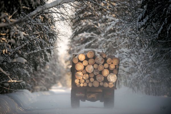 El invierno siberiano El invierno siberiano - Sputnik Mundo